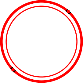 N W Store